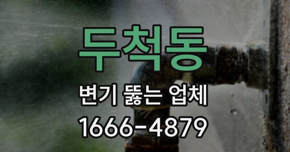 두척동 변기 뚫는 업체