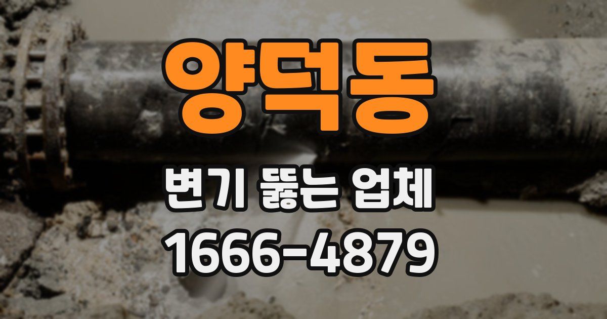 양덕동 변기 뚫는 업체