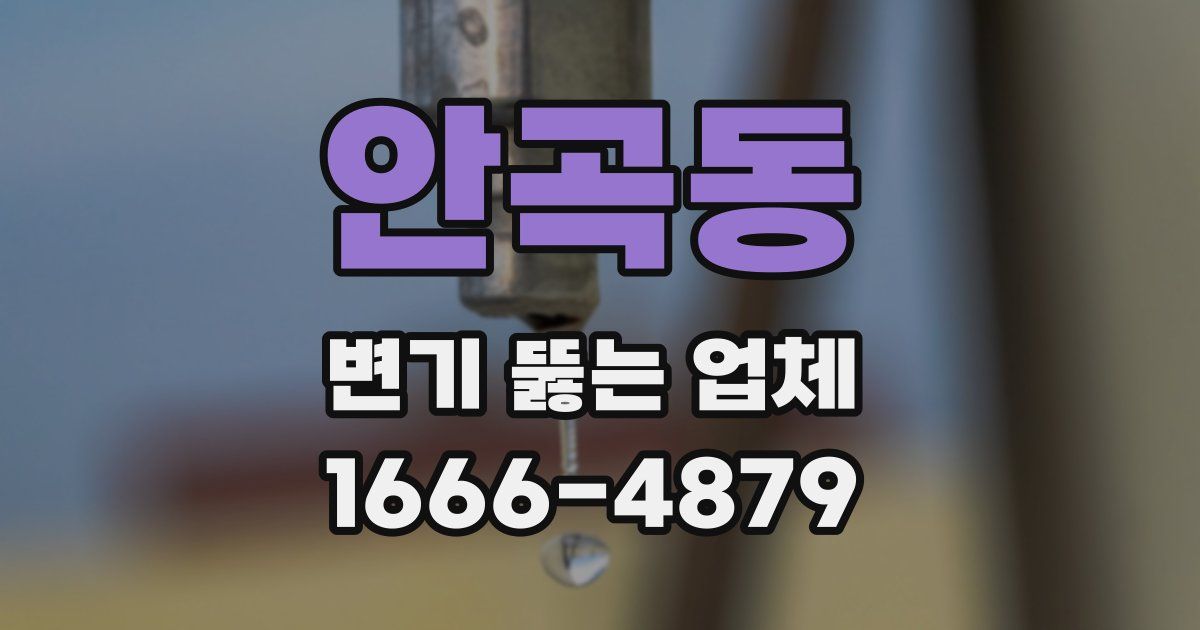 안곡동 변기 뚫는 업체