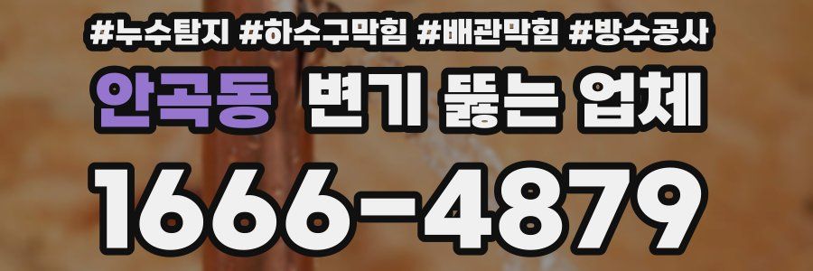 안곡동 변기 뚫는 업체
