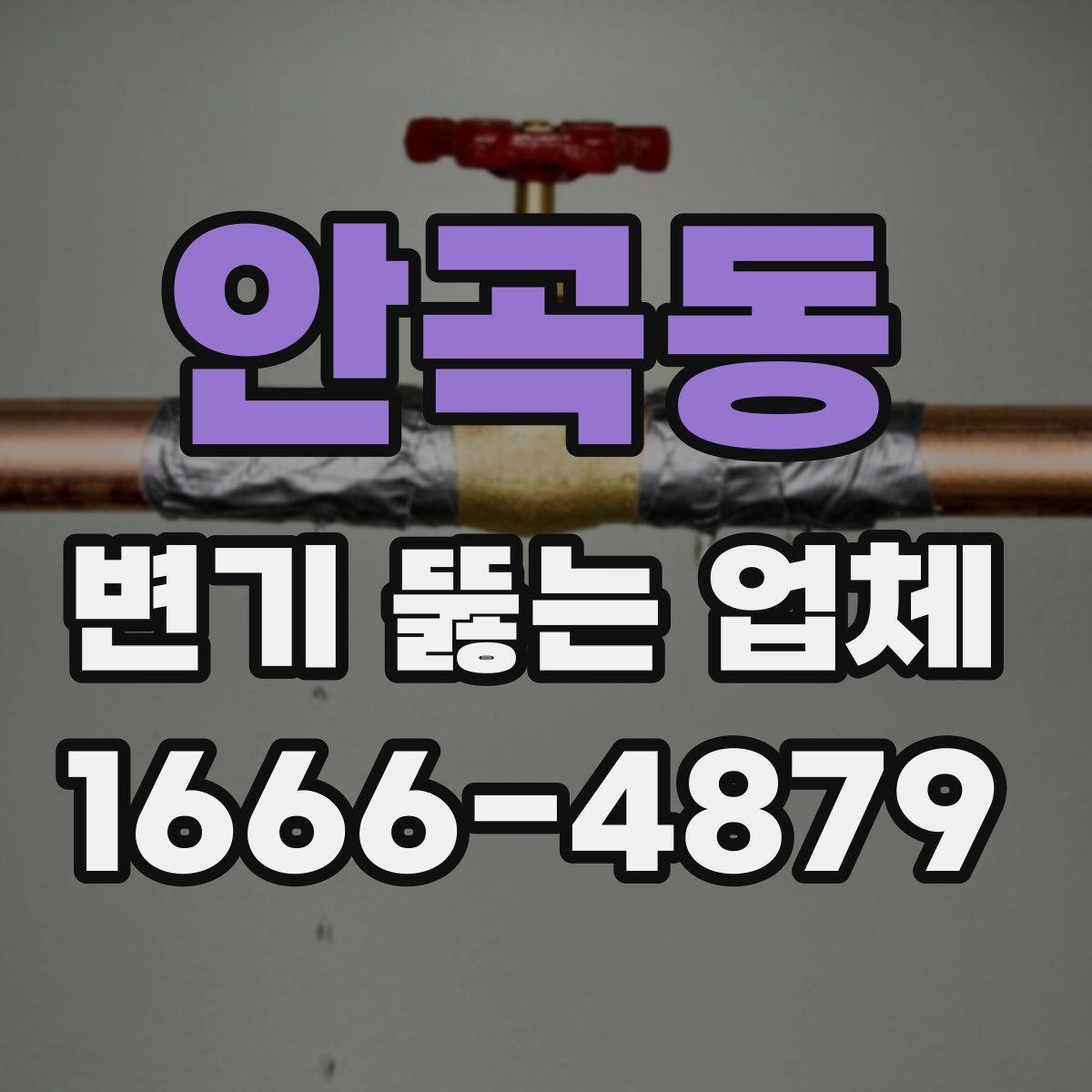 안곡동 변기 뚫는 업체