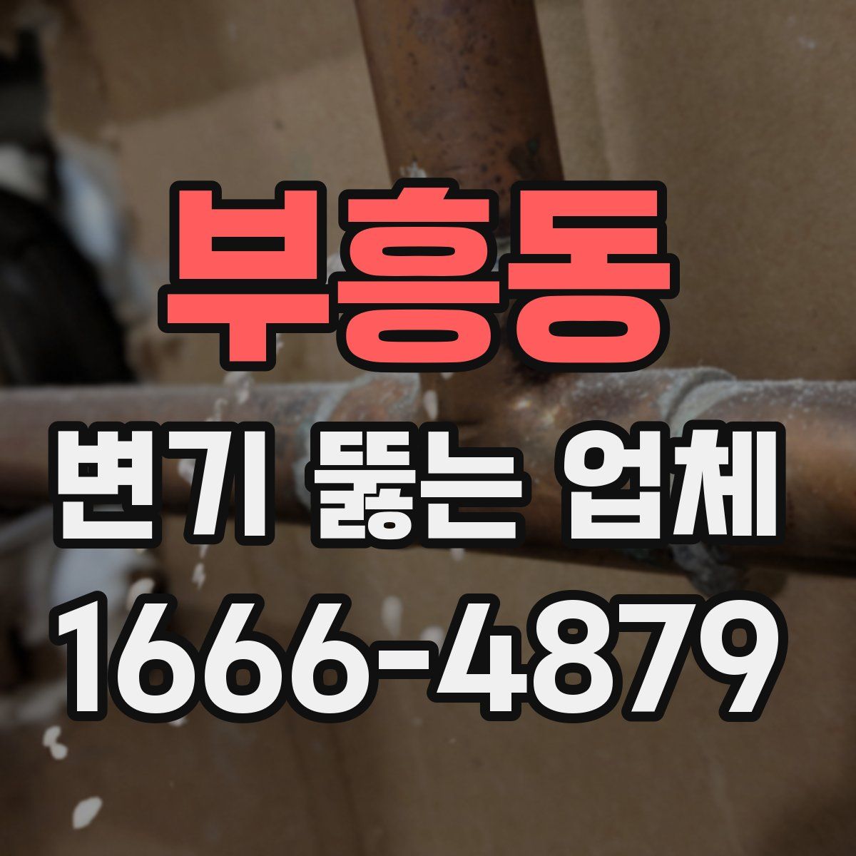 부흥동 변기 뚫는 업체