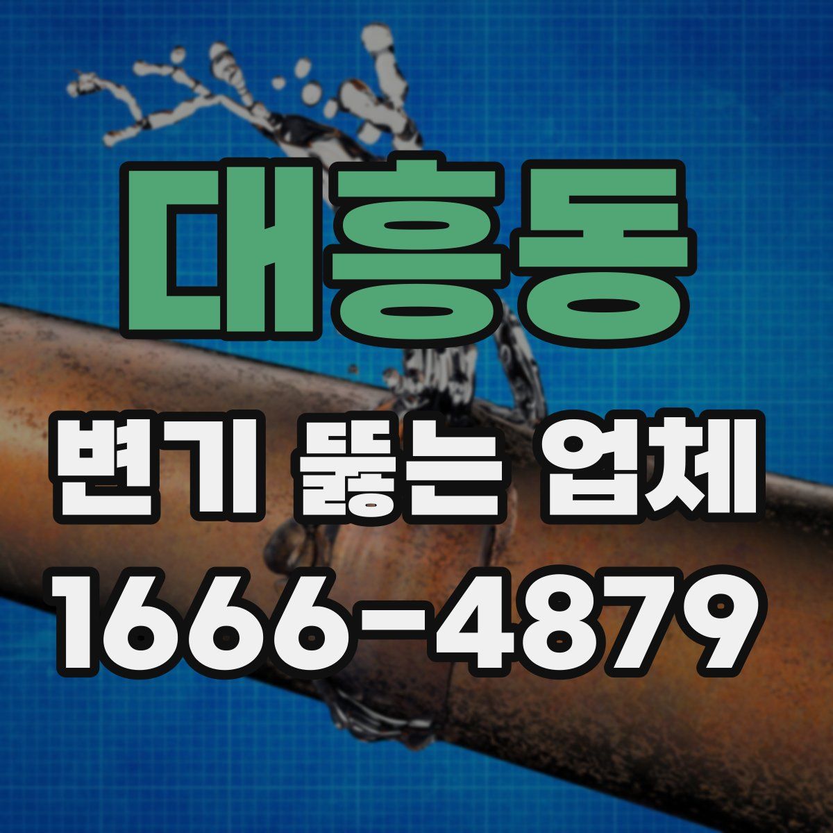 대흥동 변기 뚫는 업체