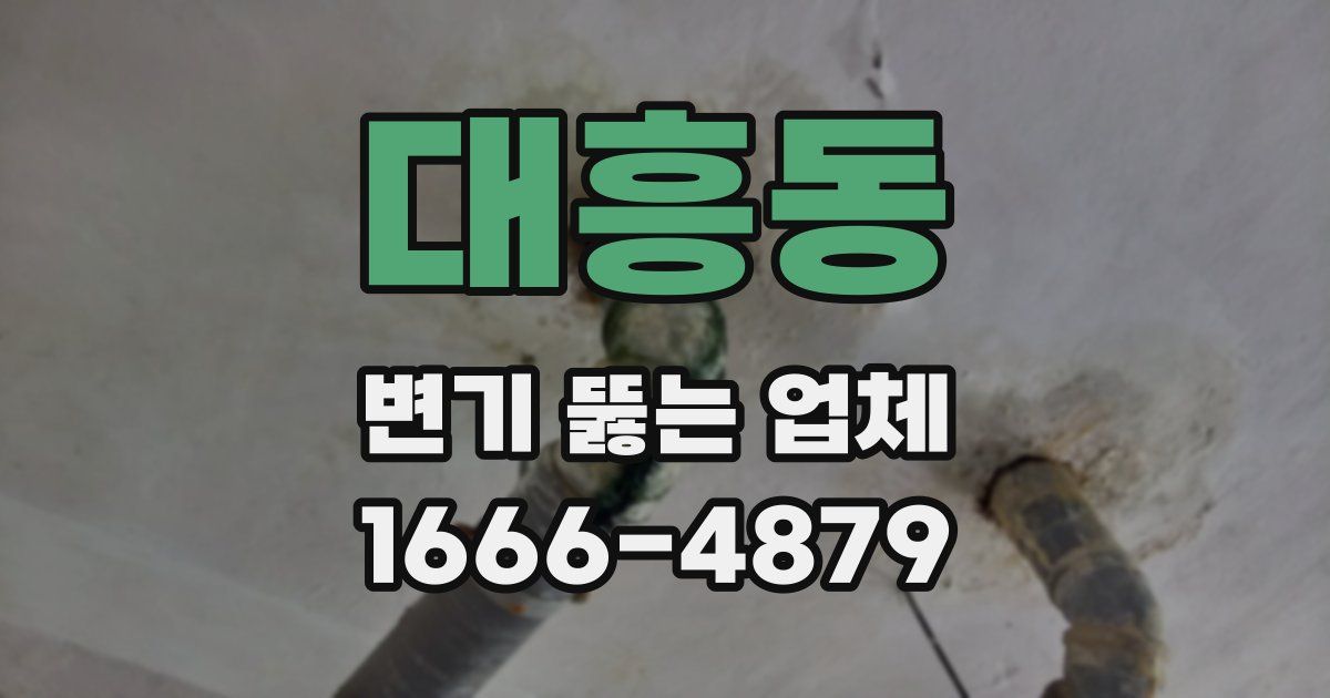 대흥동 변기 뚫는 업체