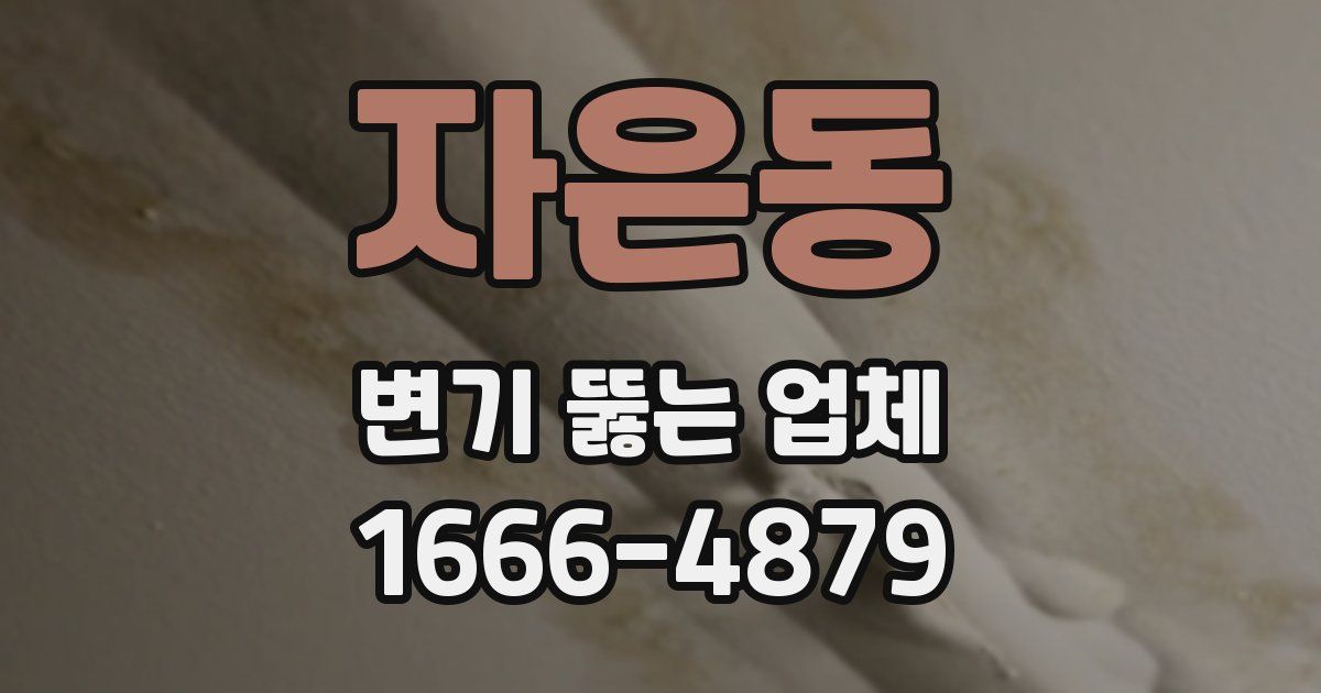 자은동 변기 뚫는 업체