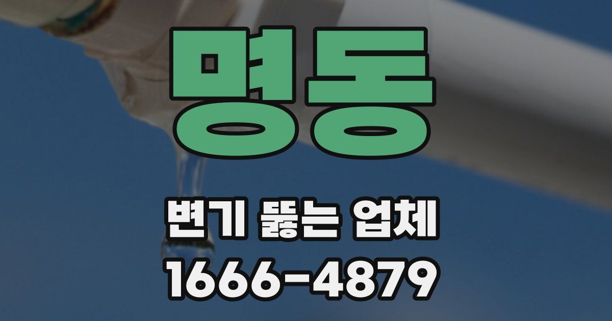 명동 변기 뚫는 업체