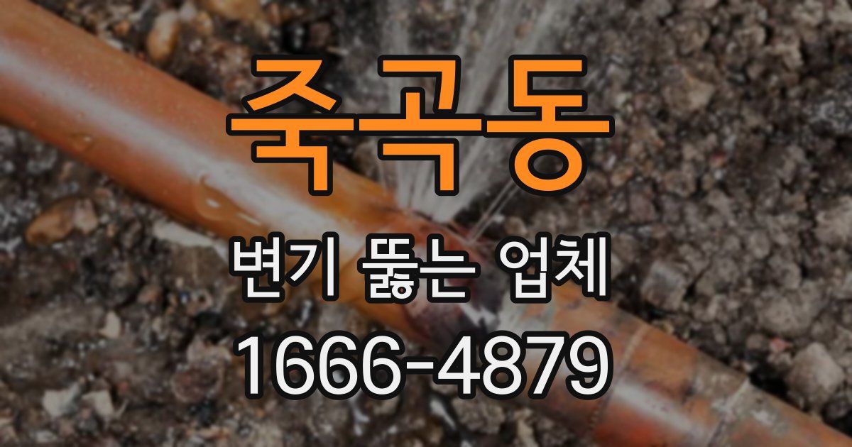 죽곡동 변기 뚫는 업체