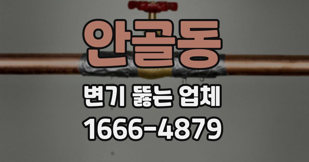 안골동 변기 뚫는 업체