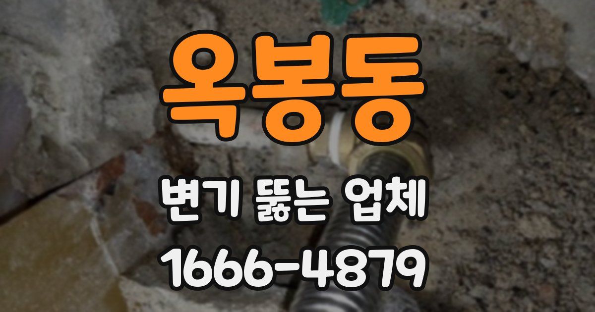 옥봉동 변기 뚫는 업체
