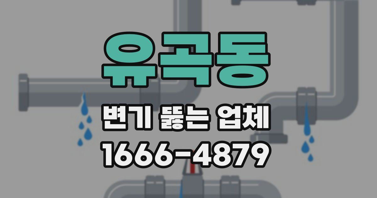 유곡동 변기 뚫는 업체