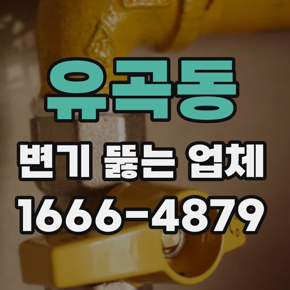 유곡동 변기 뚫는 업체