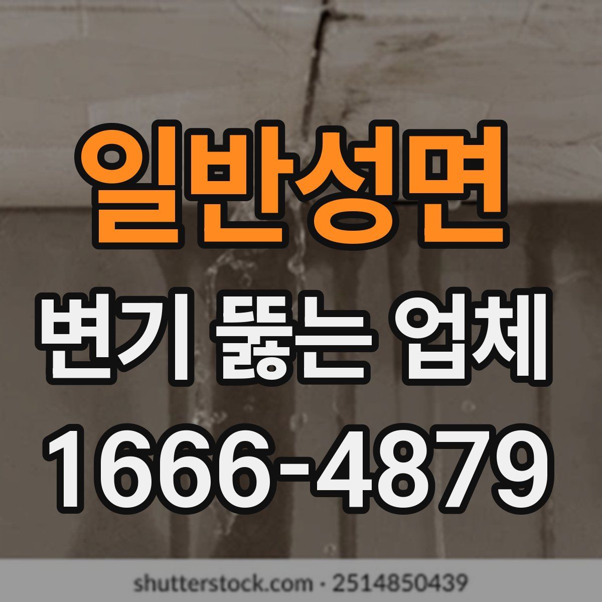 일반성면 변기 뚫는 업체