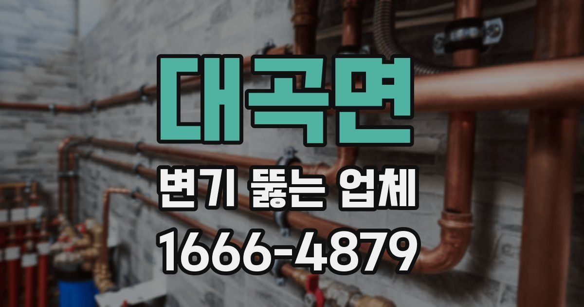 대곡면 변기 뚫는 업체