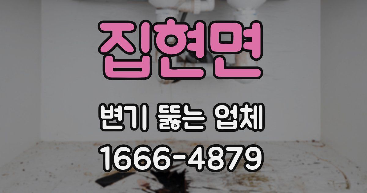 집현면 변기 뚫는 업체