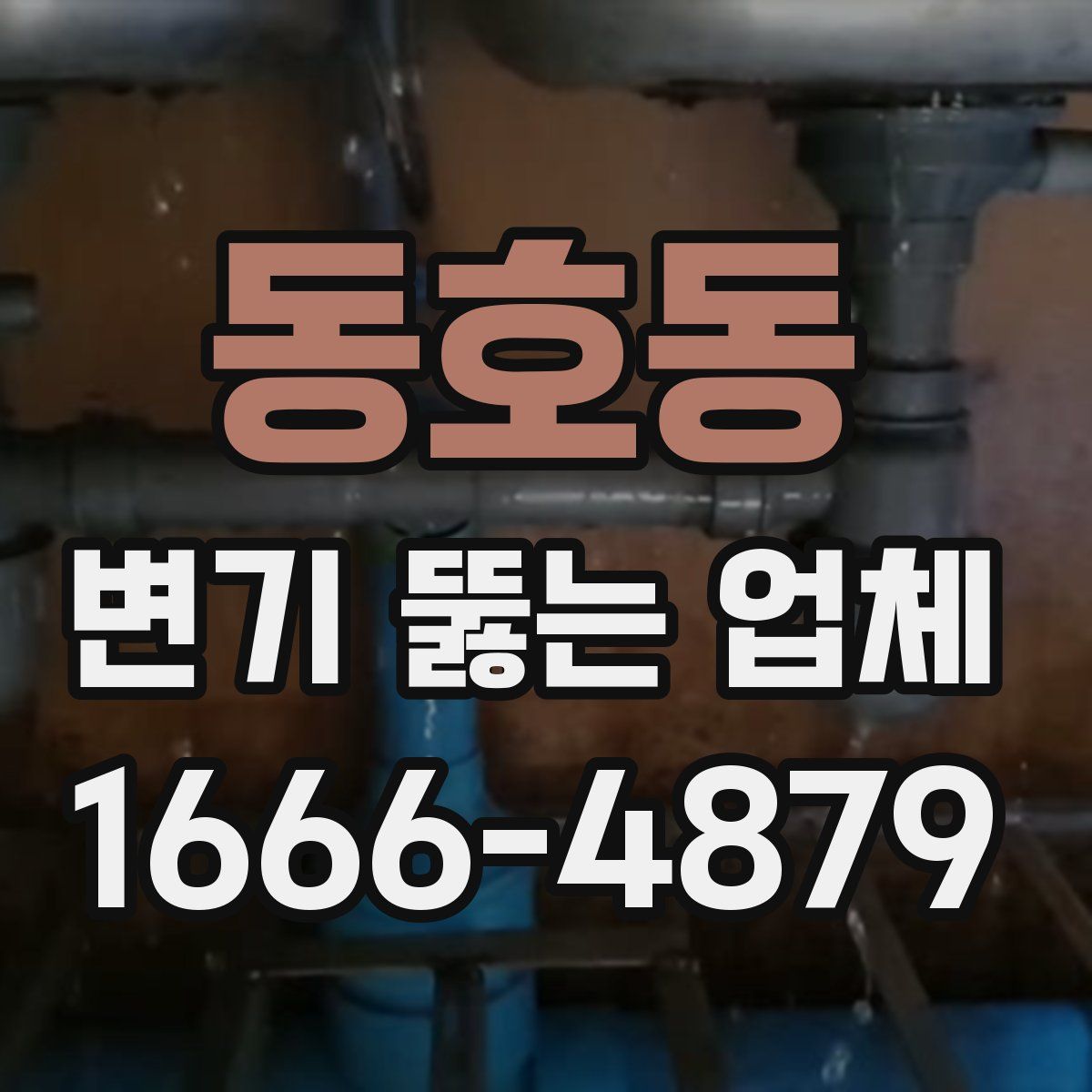 동호동 변기 뚫는 업체