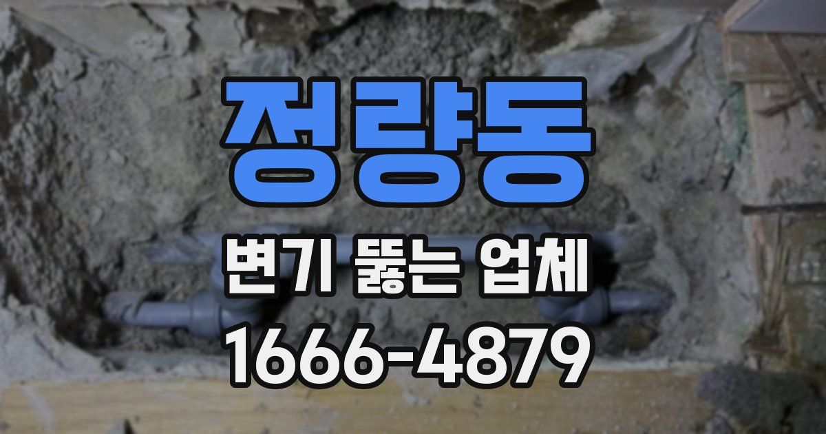 정량동 변기 뚫는 업체