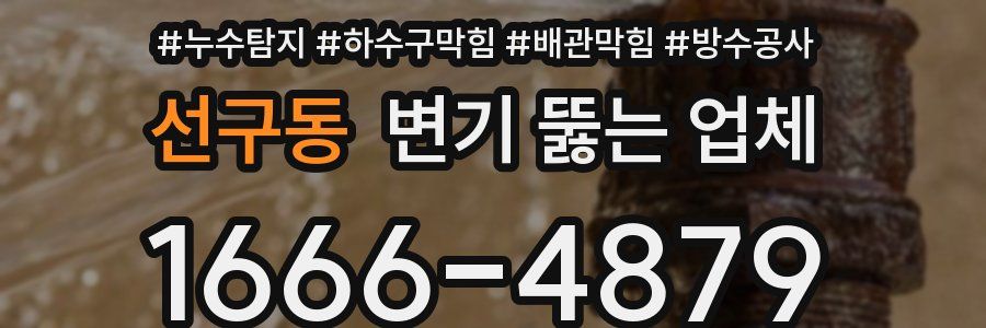 선구동 변기 뚫는 업체