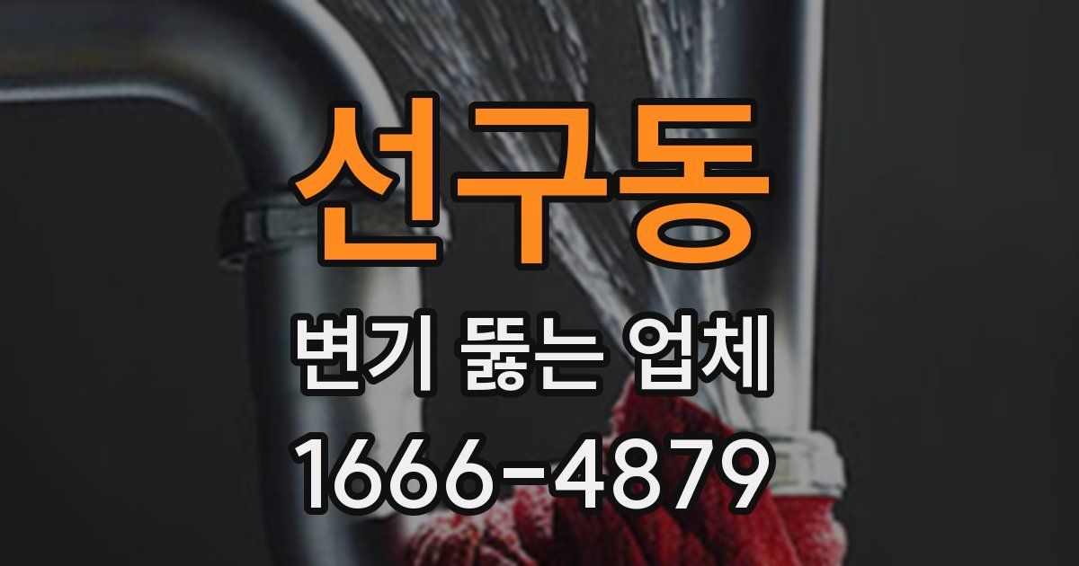 선구동 변기 뚫는 업체