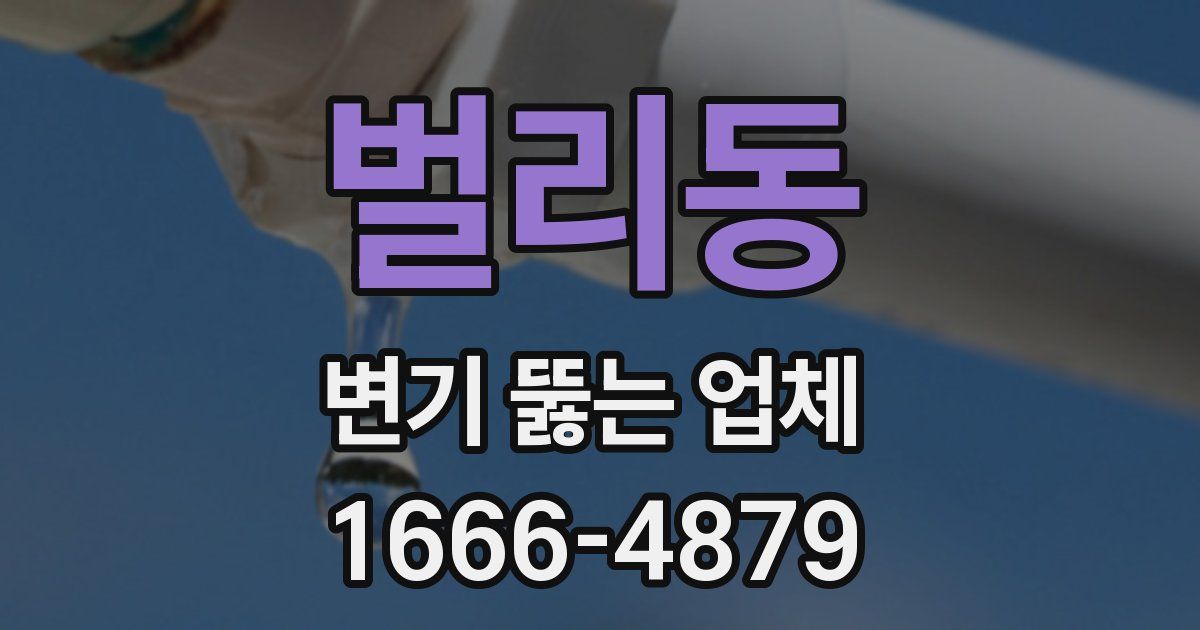 벌리동 변기 뚫는 업체