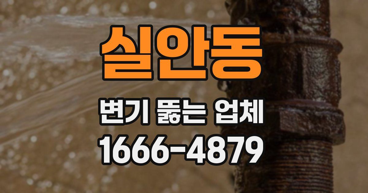 실안동 변기 뚫는 업체