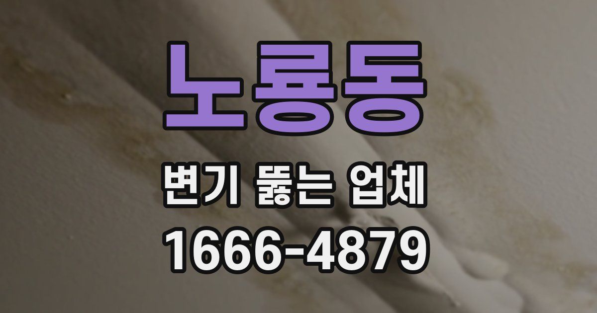 노룡동 변기 뚫는 업체