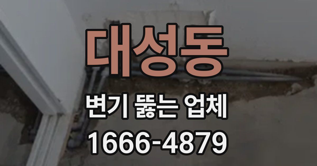 대성동 변기 뚫는 업체