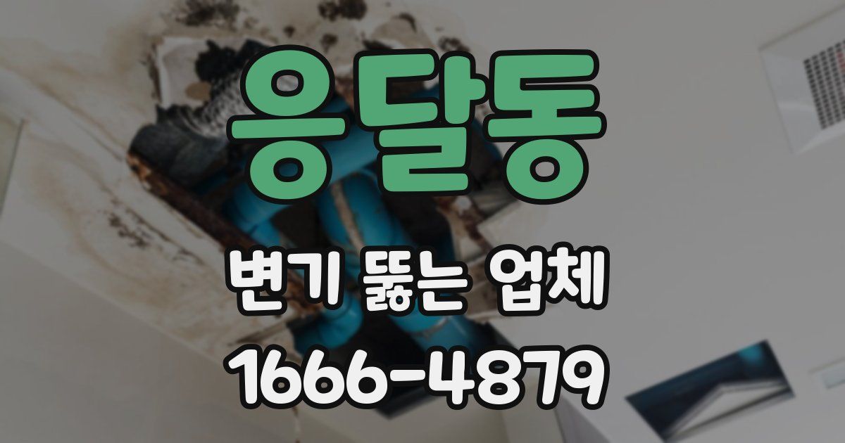 응달동 변기 뚫는 업체