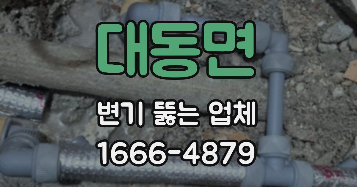 대동면 변기 뚫는 업체