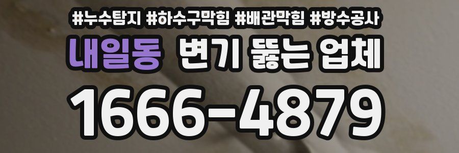 내일동 변기 뚫는 업체