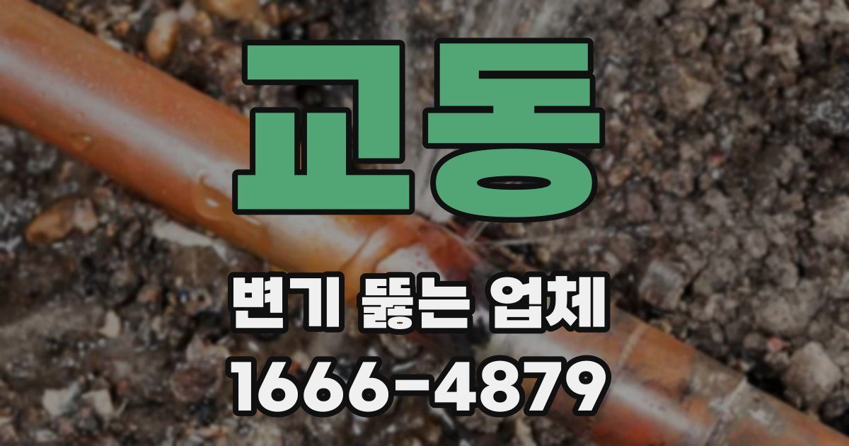 교동 변기 뚫는 업체