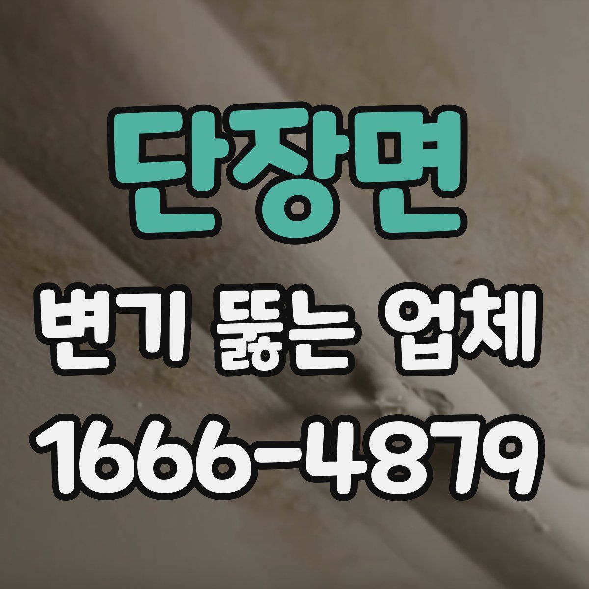 단장면 변기 뚫는 업체