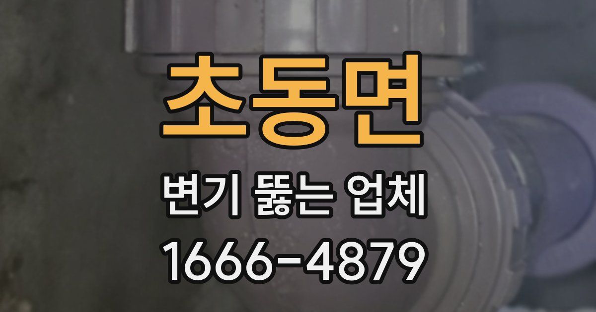 초동면 변기 뚫는 업체