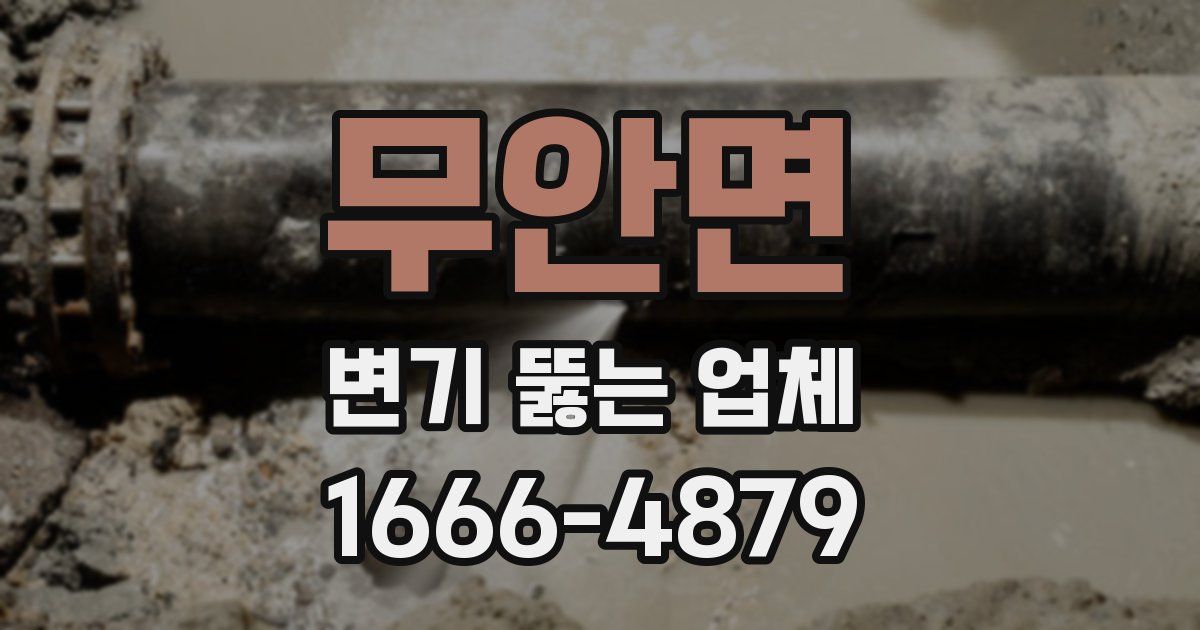 무안면 변기 뚫는 업체
