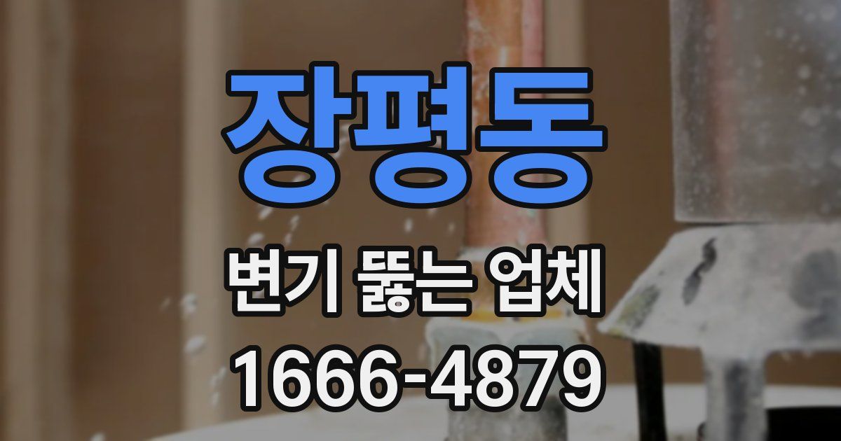 장평동 변기 뚫는 업체