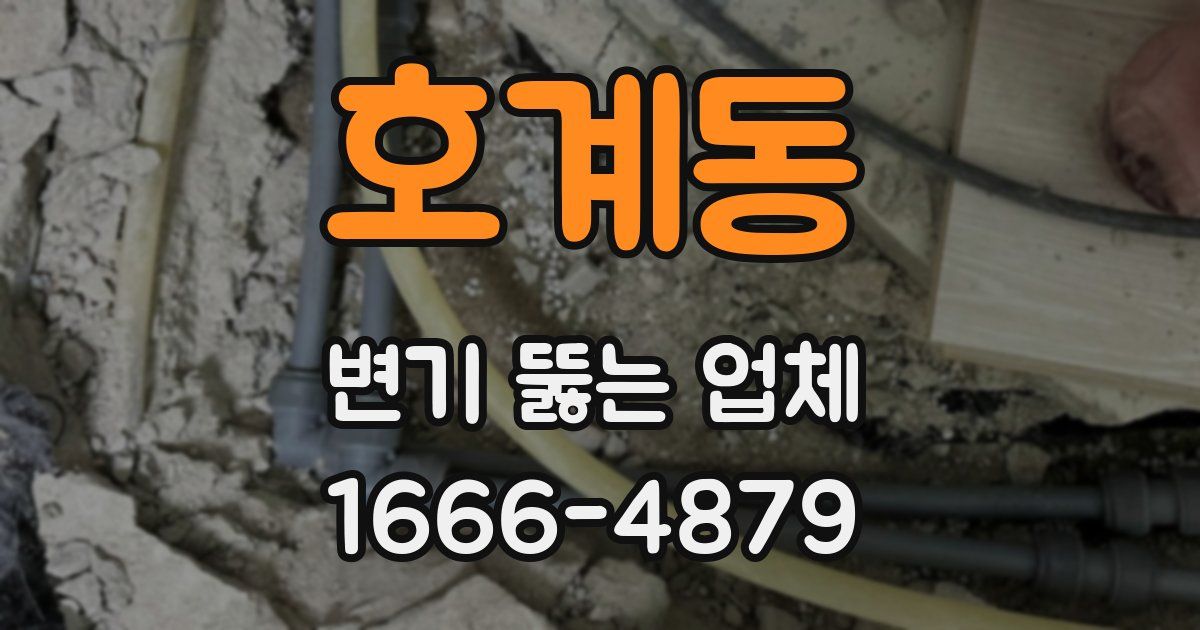 호계동 변기 뚫는 업체