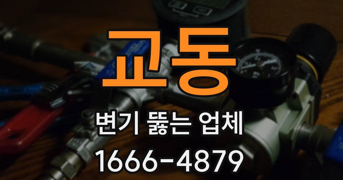 교동 변기 뚫는 업체