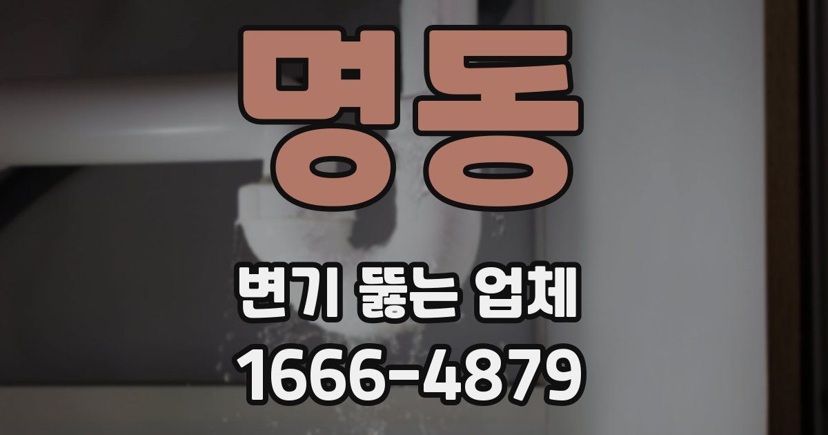 명동 변기 뚫는 업체