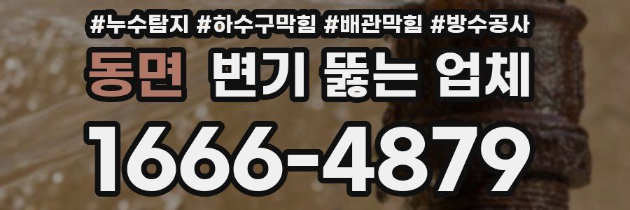 동면 변기 뚫는 업체