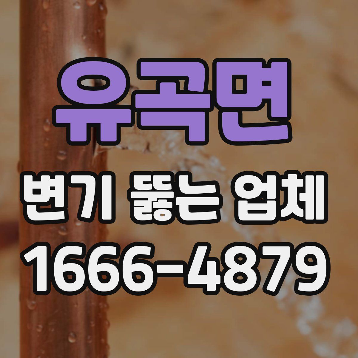 유곡면 변기 뚫는 업체