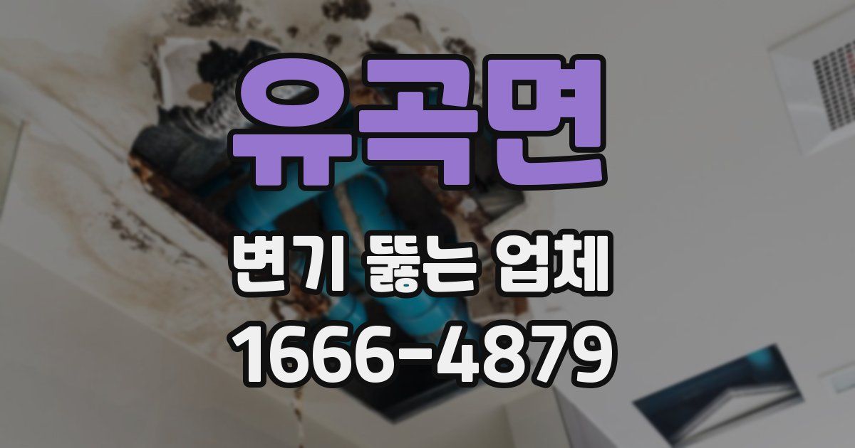 유곡면 변기 뚫는 업체