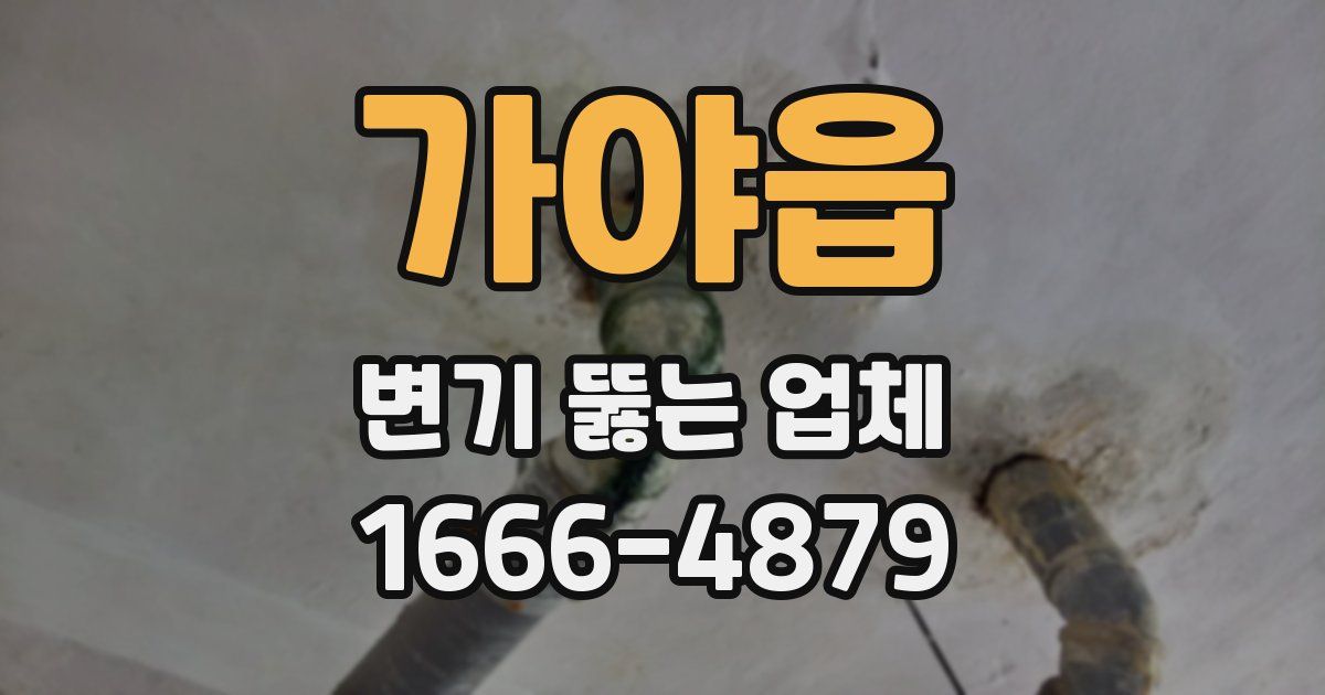 가야읍 변기 뚫는 업체