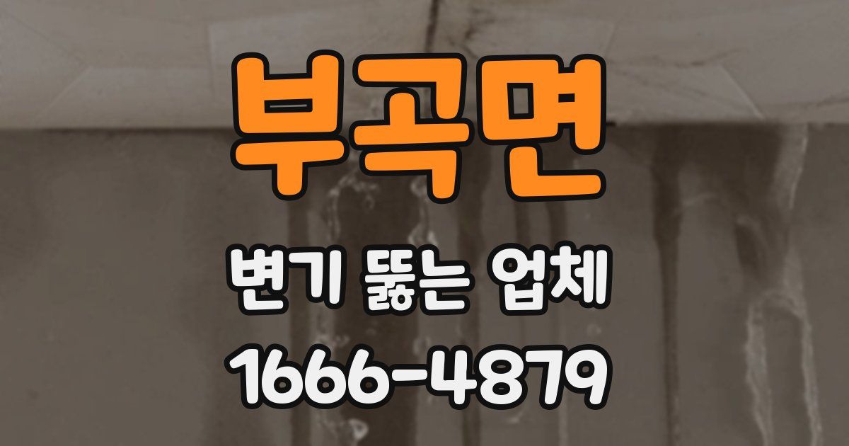 부곡면 변기 뚫는 업체