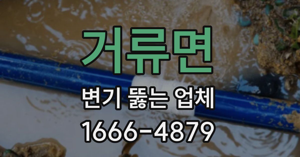 거류면 변기 뚫는 업체