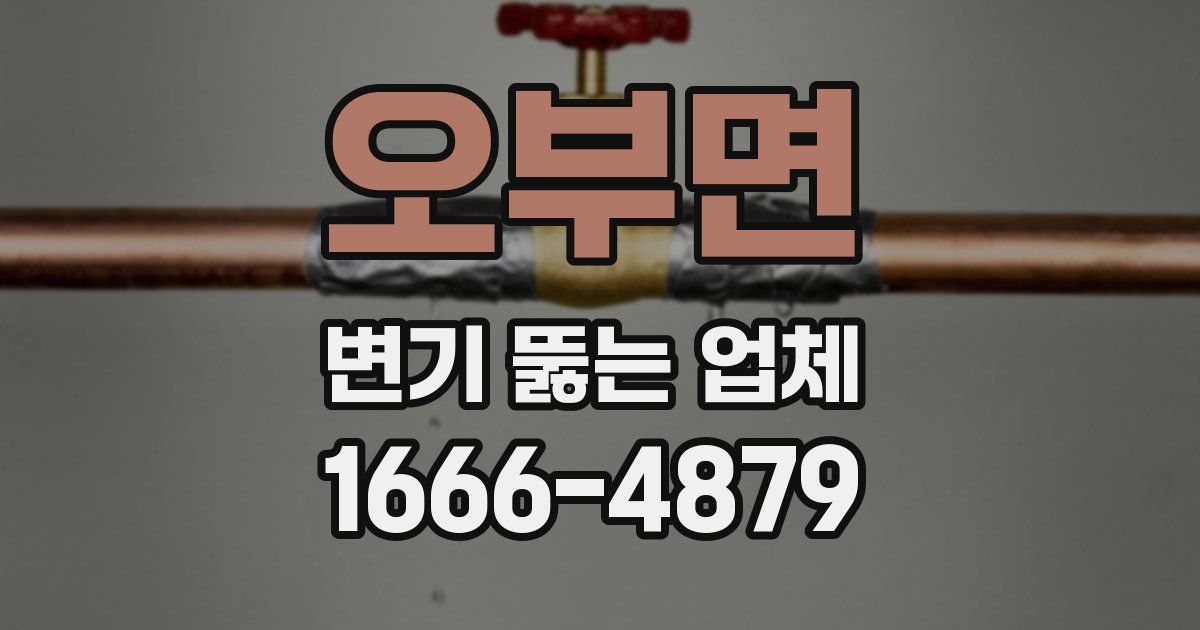 오부면 변기 뚫는 업체