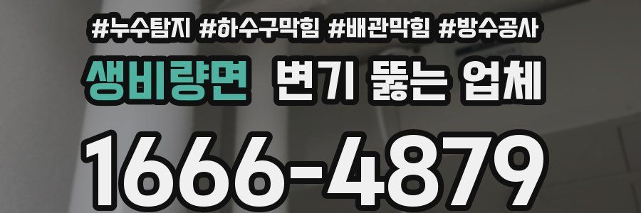 생비량면 변기 뚫는 업체