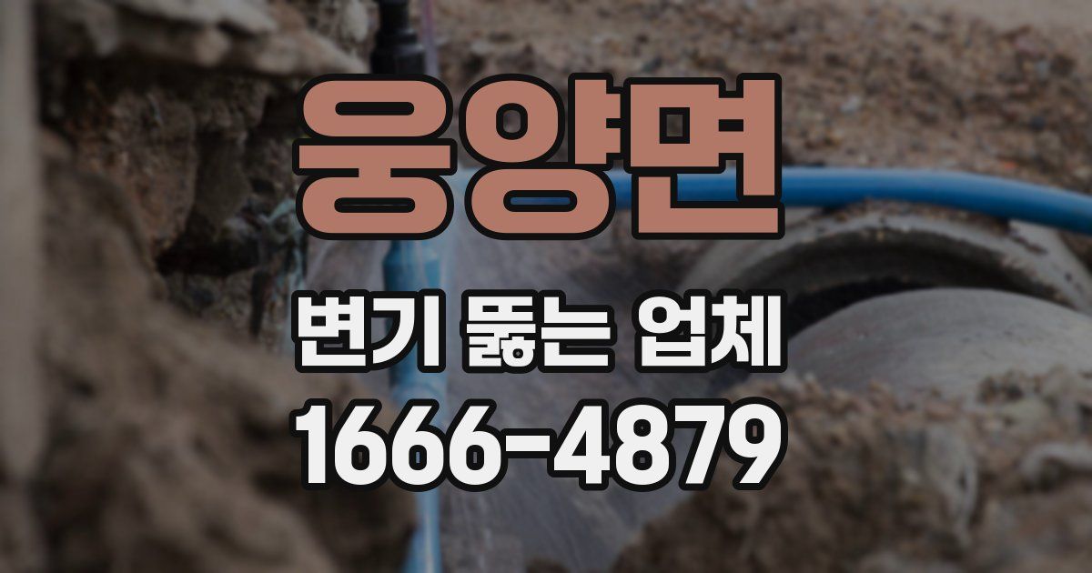 웅양면 변기 뚫는 업체