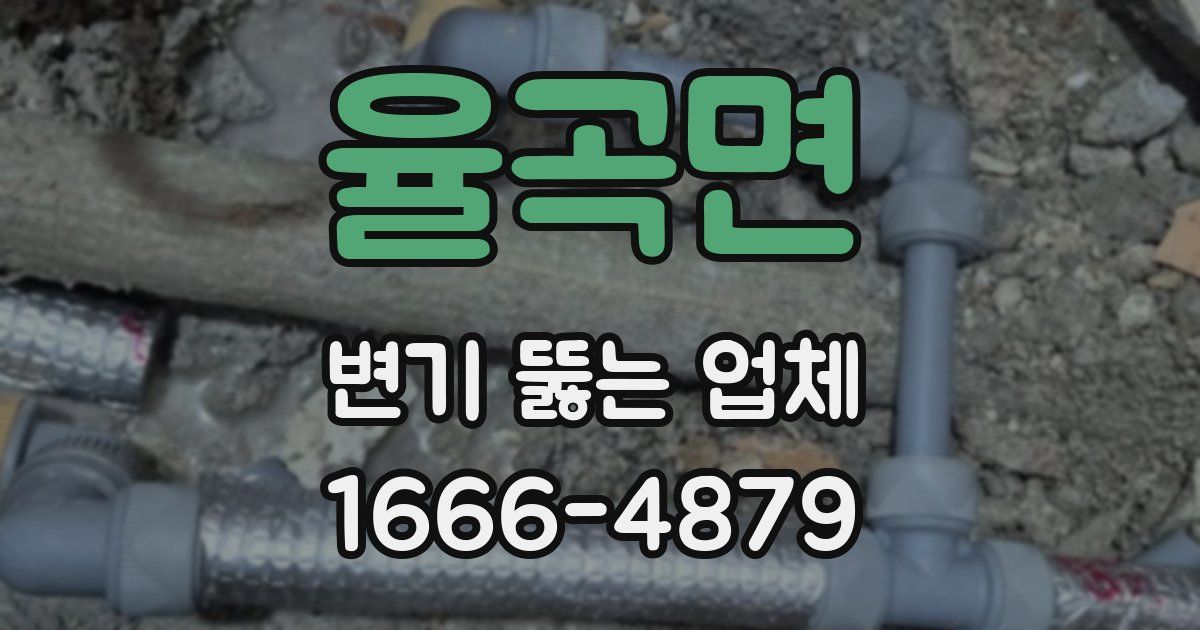 율곡면 변기 뚫는 업체