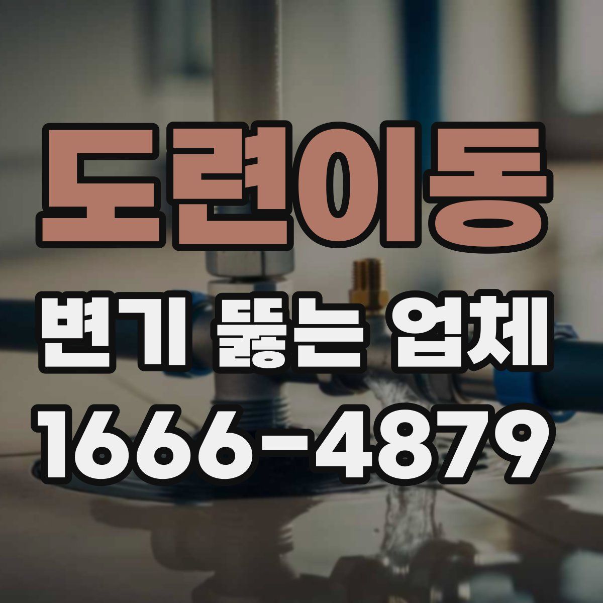 도련이동 변기 뚫는 업체