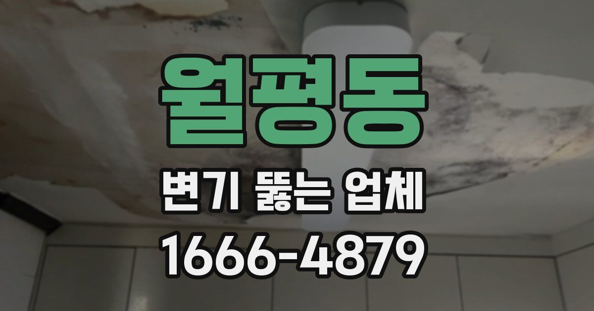 월평동 변기 뚫는 업체