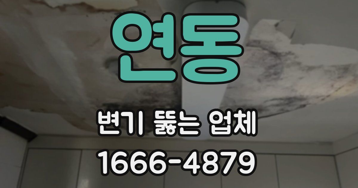 연동 변기 뚫는 업체